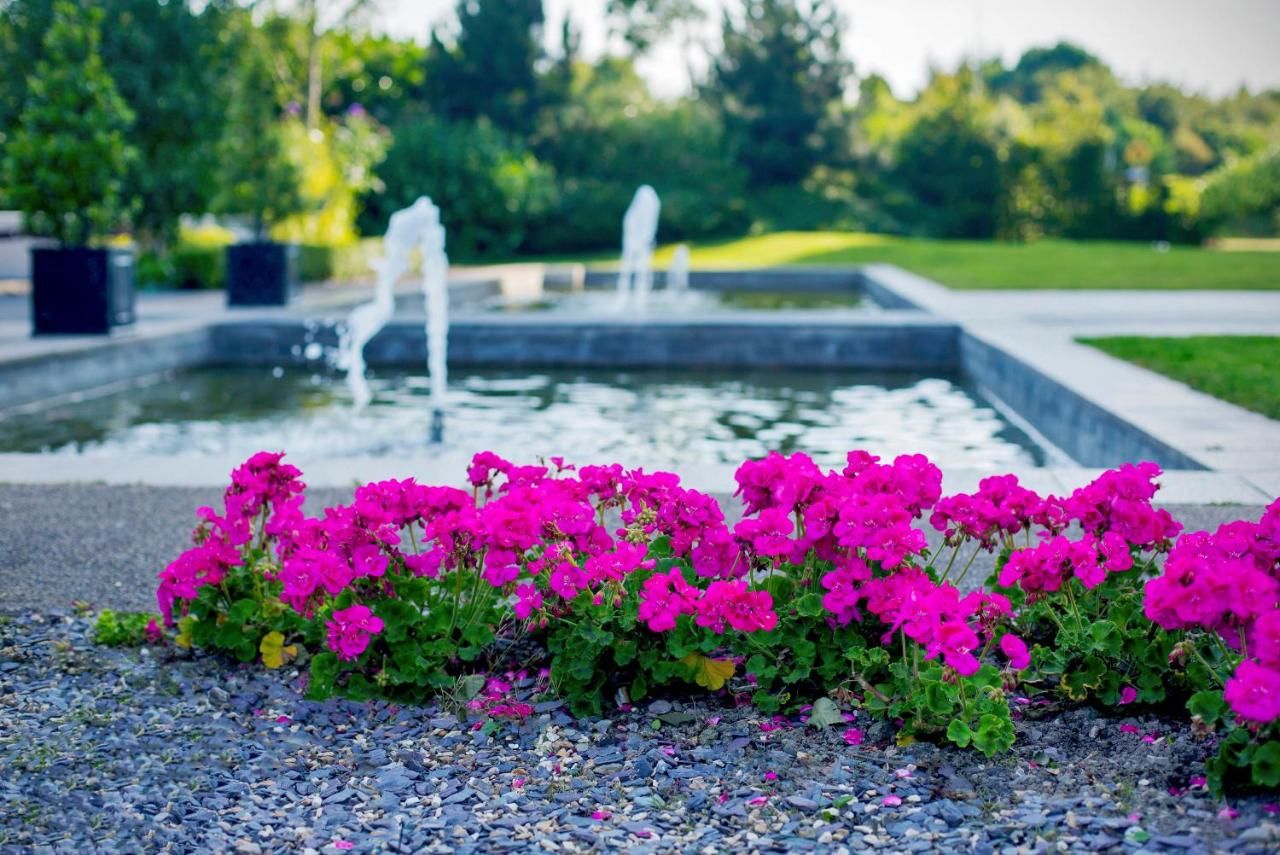 Отель Crowne Plaza Dundalk Дандолк